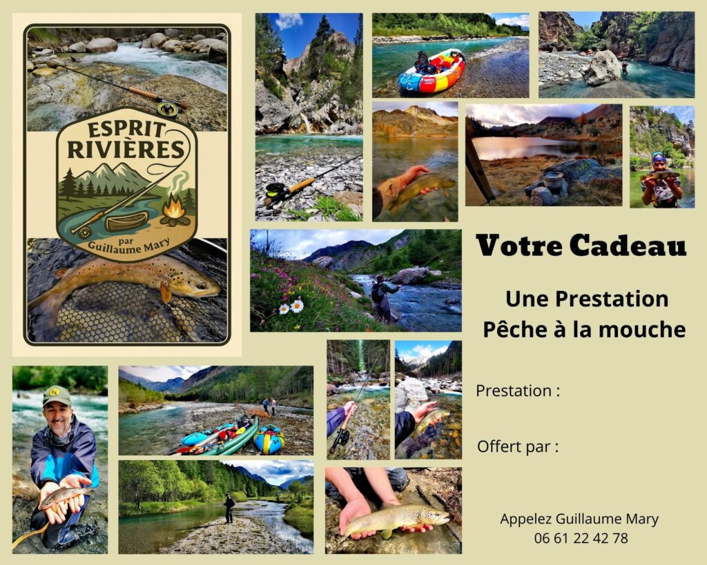 bon cadeau prestation guidage peche a la mouche avec guillaume mary esprit rivieres