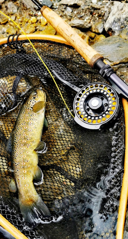 guidage peche en seche perfectionnement